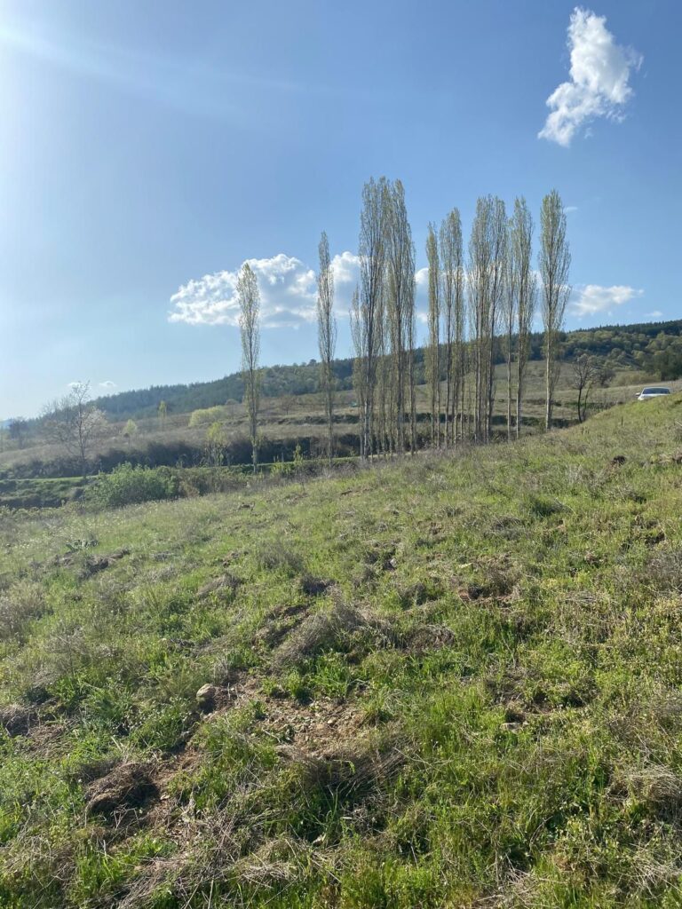 BALIKESİR BİGADİÇ TURFULLAR 6.647m² TARLA